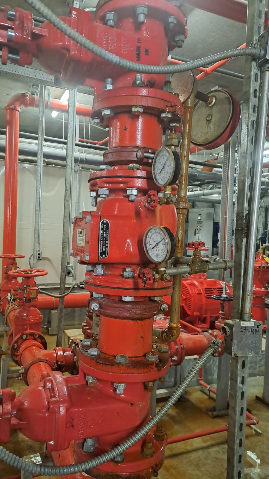 Novaroots Project 29